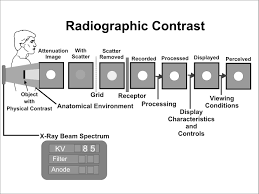 X Ray Image Formation And Contrast