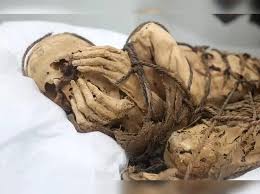 lima: Lima museum displays ancient Peruvian mummy from 800-1200 AD - The Economic Times