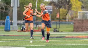 Image result for Ochna hackarsii