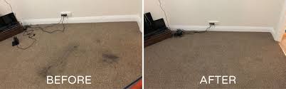 A vacuum cleaner is particularly useful in the control of roaches because the ootheca is readily visible and quickly vacuumed up. Carpet Cleaning And Pest Control A A Spectrum