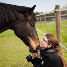 Benjamin Bregenzer (@benjibregenzer)