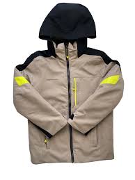 Image result for Tan 2025 Fleet