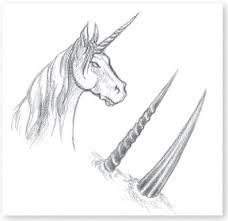 How To Draw A Unicorn Horn Google Search Art Art Journal Cover Art Drawings Simple