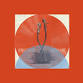 John Scofield event image