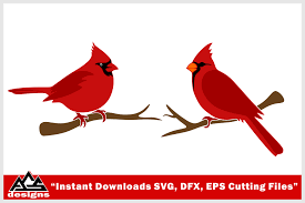 Bird Cardinal Svg Design Digitanza Cardinal Birds Cardinal Drawing Svg Design