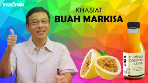 Maybe you would like to learn more about one of these? Khasiat Buah Markisa Untuk Kesehatan Youtube
