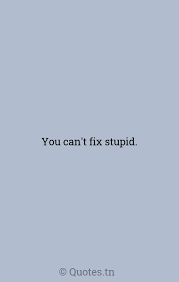 You can't fix stupid, ron white, meme generator. You Can T Fix Stupid With Image