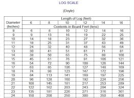 Doyle Log Rule Logging Pinterest Log Rules And Tools