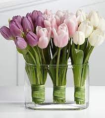 Tulips Tulips Tulips Mallorydavidso1 Tulips Arrangement Spring Flower Arrangements Beautiful Flowers