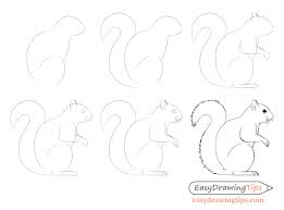 Easy simple step by step drawing guide to learn how to draw animals: How To Draw A Squirrel From The Side View Tutorial Easydrawingtips