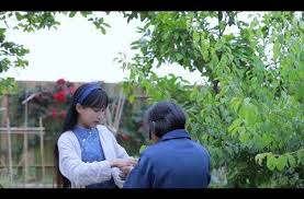 青梅 the routine thing you shall never miss every summer to eat green plums liziqi channel youtube food documentaries vegetable garden diy slow life