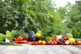 3791 recettes de cuisine bio faciles : Cours De Cuisine Bio A Dijon Et En Bourgogne Atelier Vegan