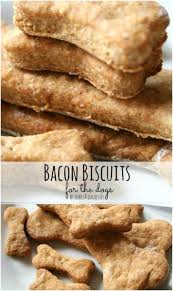 25 Lip Smacking Homemade Healthy Dog Food Recipes Your Pooch Will Love Hundefutter Gesundes Hundefutter Lebensmittel Essen