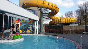 subtropisch zwembad zwemparadijs nederland grote en overdekte binnen zwembaden zwembaden waterparken zwembad