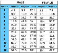 thorough golden weight chart golden retriever puppy growth