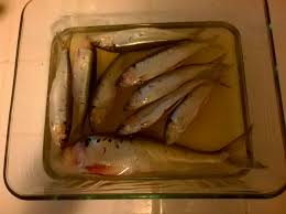 Pesce in carpione alla ligure. Pesci In Carpione Medioevo Ricette Antiche
