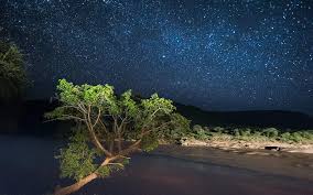 Once that game is completed, you'll unlock milky way wishes. Tsavo A Land Where Time Doesn T Count