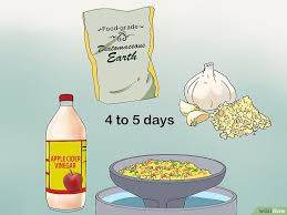 4 Manieres De Vermifuger Vos Poules Wikihow En 2020 Poule Alimentation Poule Alimentation Poule Pondeuse