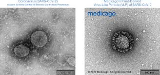 Currently, we are in phase 1a of pennsylvania's vaccine rollout. Covid 19 Programs