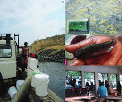 Record and instantly share video messages from your browser. A Seine Fishing And Water Hauling At Fish Springs Lagoon B Lake Download Scientific Diagram