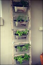 Check Out These Beautiful Ways To Grow Your Own Herb Garden Krautergarten Drinnen Kleinen Raumgartnerei Indoor Garten