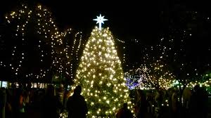 That's why lowe's offers a dazzling selection of outdoor and indoor items to help you add a bit of magic to the season of celebrations. Christmas Lights By The Roof Sector Christmas Trees In Swanage Pages Directory