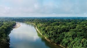 What happened when the normans came? In Search Of The White Jaguar Archaeologists Travel Deep Into The Jungle To Find A Lost Maya City Science Aaas