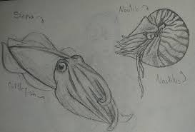 Whats something you hate that people confuse or dont understand about  your hyperfixations? : revilautism