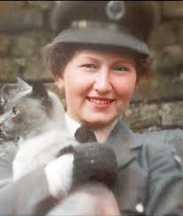 Ancestry 50% off site-wide sale