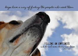 Quotes About Dogs In Heaven 28 Quotes