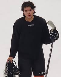 Meet the Members! Meet Andrew Tampubolon! Andrew is 17 year old and will be  attending SDSU to major in business administration and minor in computer  science. His favorite dci show is 2015