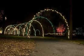Make Your Outdoor Space A Holiday Show Stopper This Season With An Electric Light Show Of Christmas Lights Outside Diy Christmas Lights Christmas House Lights