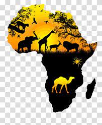 Download transparent africa map png for free on pngkey.com. Africa Map Illustration Africa Wall Decal Sticker Map Transparent Background Png Clipart Map Art Africa Map Elephant Illustration