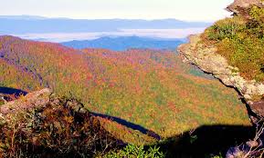 Craggy Gardens Rhododendron Near Asheville North Carolina Craggy Gardens Most Visited National Parks Blue Ridge Parkway