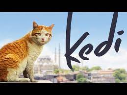 L'adattamento del celebre omonimo musical: Kedi Full Length Documentary Youtube