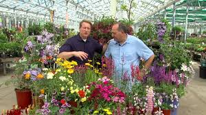 Check spelling or type a new query. Perennials That Attract Butterflies And Hummingbirds Youtube