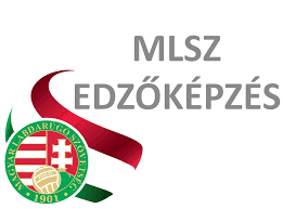 Ádám lang (born 17 january 1993) is a hungarian professional footballer who plays as a central defender for omonia and hungary national team. Mlsz Heves Megyei Igazgatosag