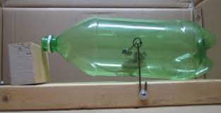 Diy Catch And Release Mouse Trap The Homestead Survival Mouse Trap Diy Mouse Traps Diy