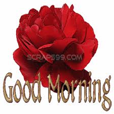 See more ideas about good morning flowers, good morning flowers rose, morning flowers. Rika Blog Good Morning Images With Rose Flowers Gif