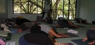 Get your 1st session free! Treehouse Yoga Reviews Tampa Fl Yoga Studio Near Me In Tampa Fl