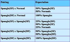 Spangle Breeding Expectation Table African Lovebirds Budgies Bird African Love