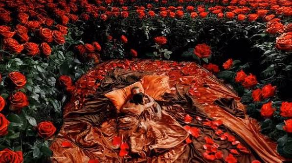 BED OF ROSES 🌹 , THE SINGLE: OUT AT MIDNIGHT 🌹, THE VISUALIZER: OUT  2MORRRRRRR @ NOON EST🌹