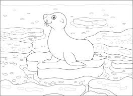 Seal coloring coloring web pages are a complete entertainment package for kids, especially if you find ones which depict a common character, season or theme. Free Seal Coloring Pages For Download Pdf Verbnow