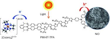 Cheng huat yeap was born at birth place. Highly Efficient P Type Dye Sensitized Solar Cells Based On Tris 1 2 Diaminoethane Cobalt Ii Iii Electrolytes Powar 2013 Angewandte Chemie International Edition Wiley Online Library