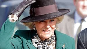 Duchess of Cornwall teams up with David Walliams for important reason