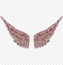Download Baby Angel Wings Png Angel Praying T Logo Png Image With Transparent Background Toppng