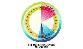 Time period per part cycle time formula this formula is useful with longer cycle times like 30 minutes per part (which is the same as 2 parts per hour, but more on that later). How To Calculate Your Menstrual Cycle Days