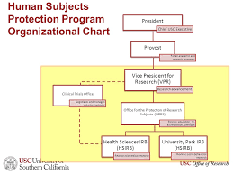 Clinical Trials At Usc Protecting Human Research Subjects