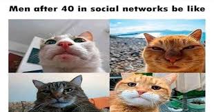 Often there is no work, no school, nothing but a free day to do what you need to take care of, or have fun. I Can Has Cheezburger Caturday Page 5 Funny Animals Online Cheezburger