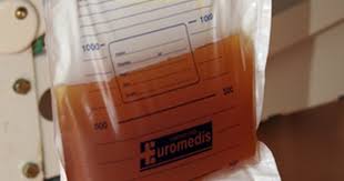 Warna bunga mawar cream dan mawar putih memang terlihat hampir sama. Ini Arti 11 Macam Warna Air Pipis Dan Penjelasan Medisnya Cek Punyamu